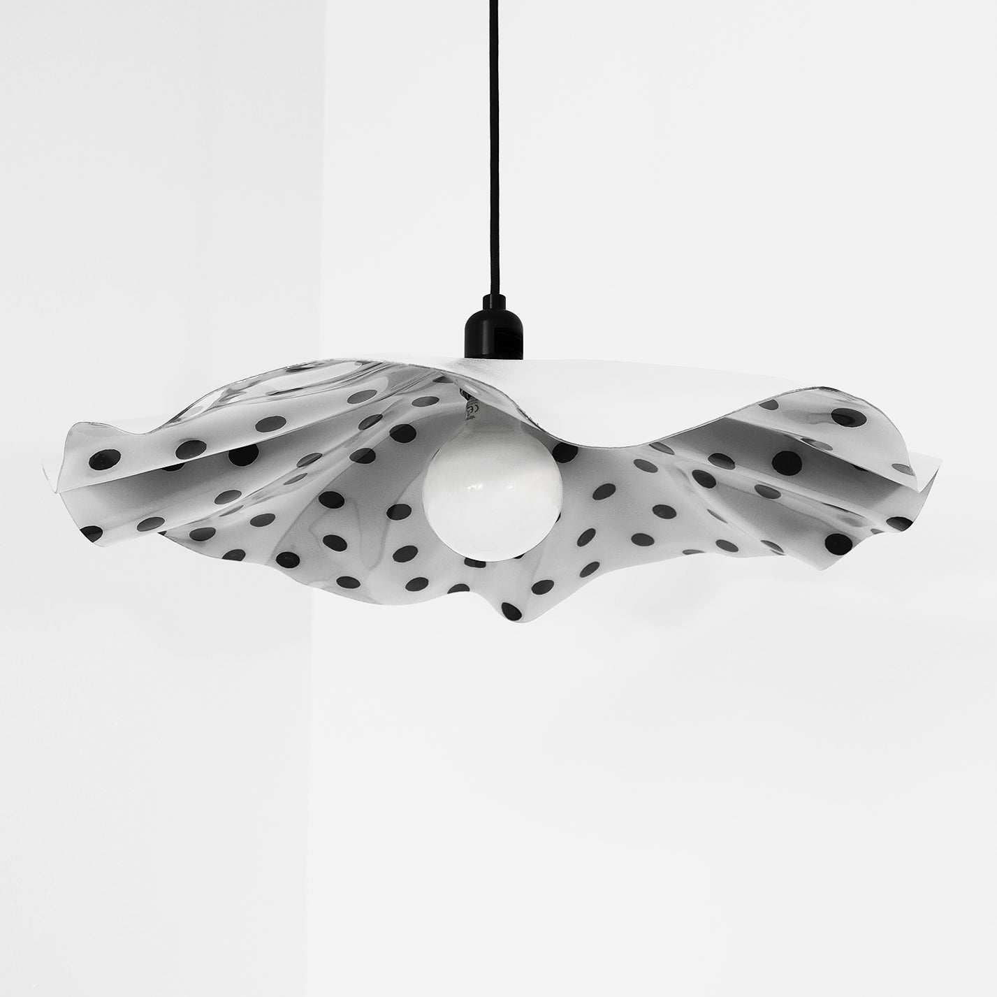 LAMP #003