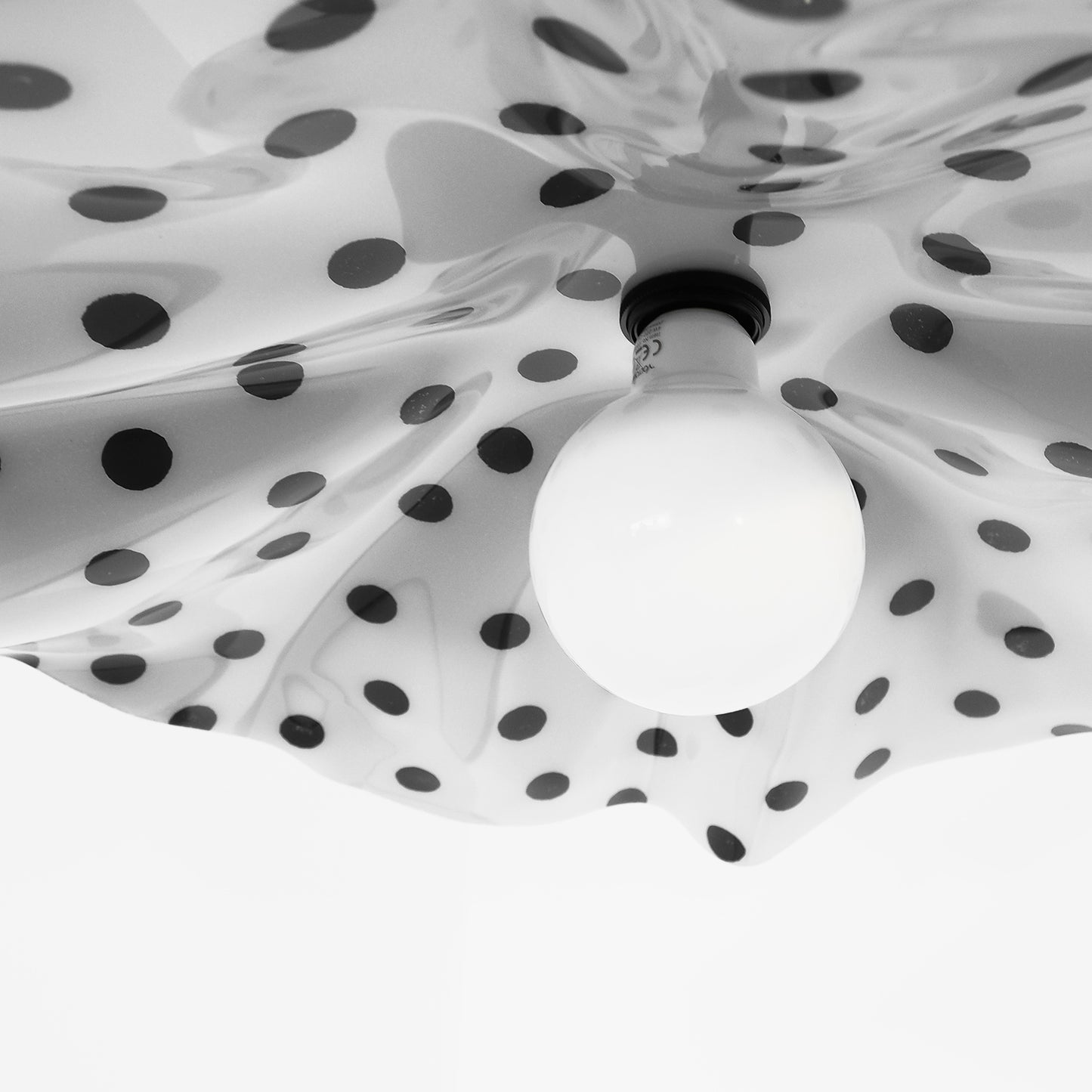 LAMP #003