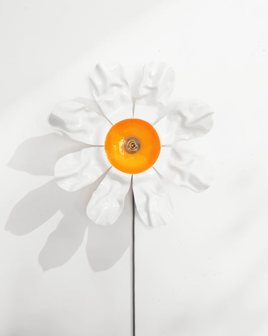 MISS DAISY